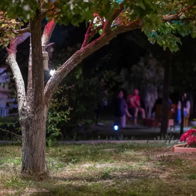 glamping-otel-dome-tinyhouse-tatil-4